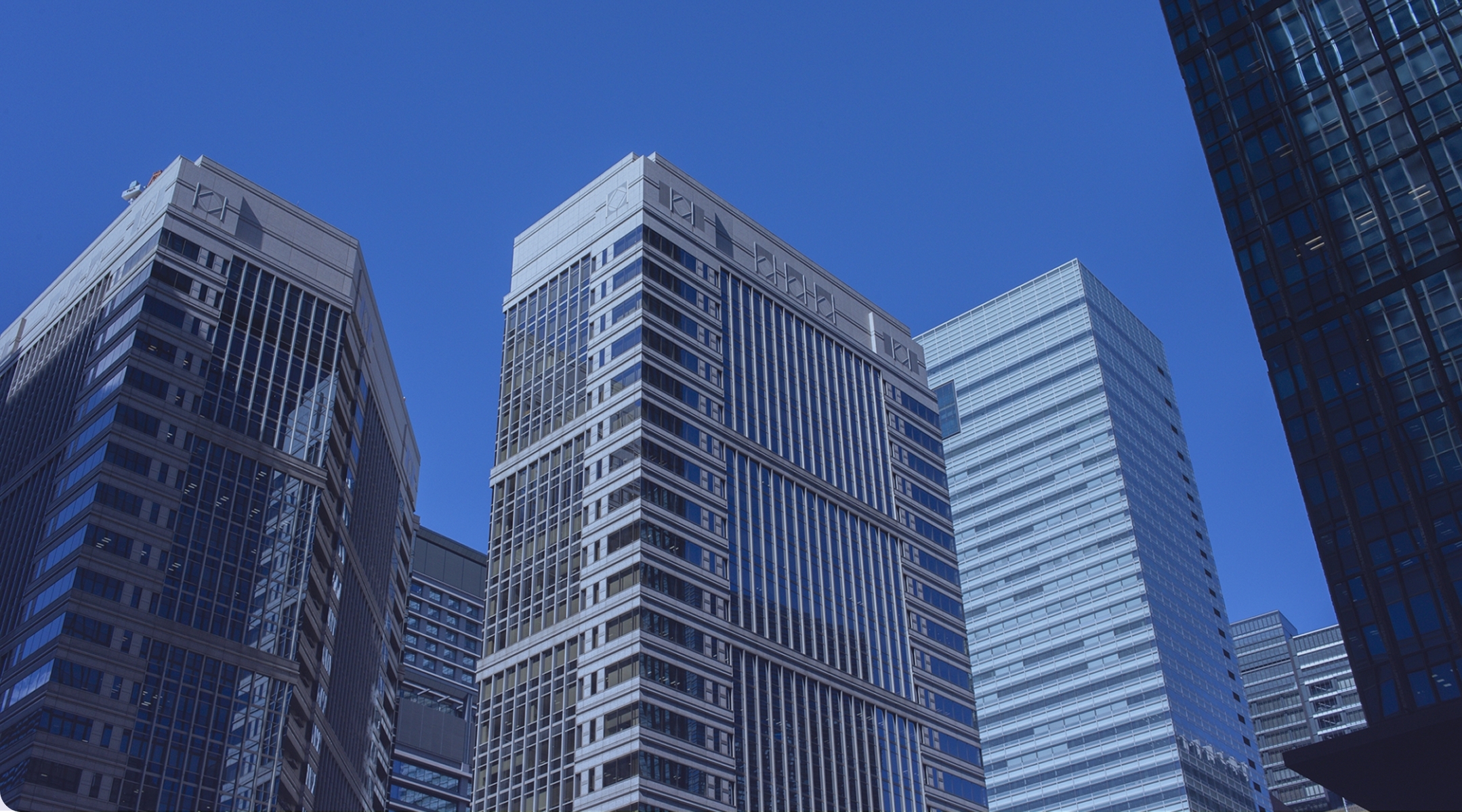 事業紹介